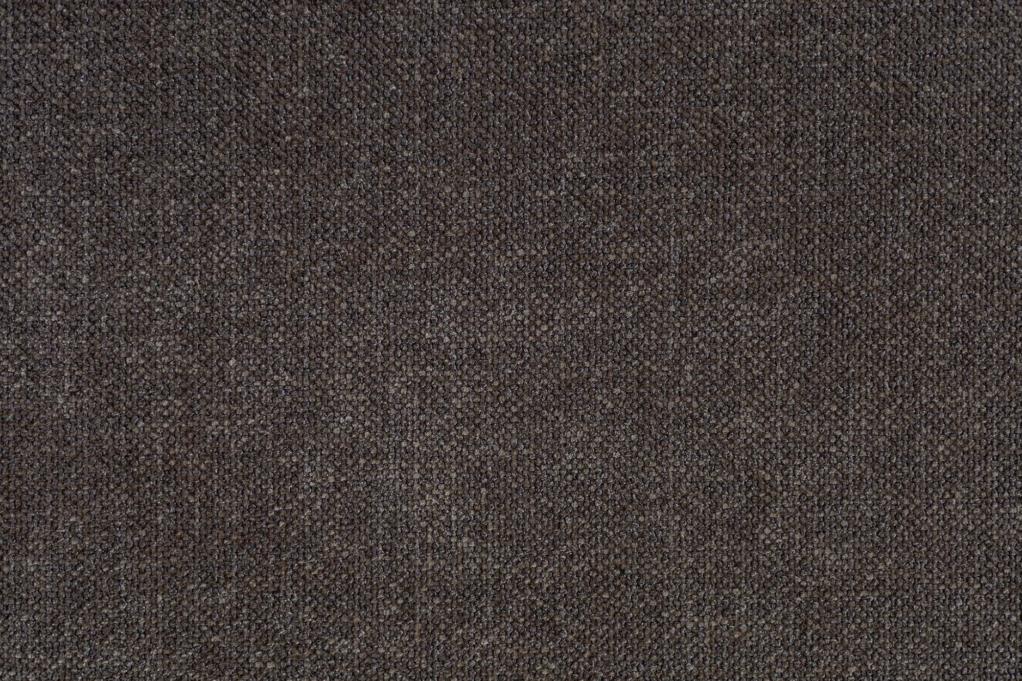 Escada 31 Umber