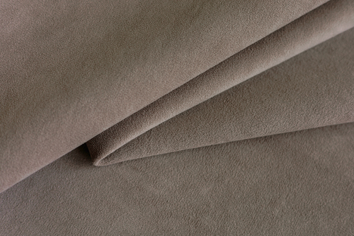 Parma 1004 Tint