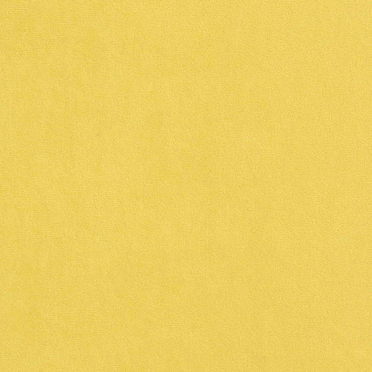 Vivaldi Vivaldi 15
