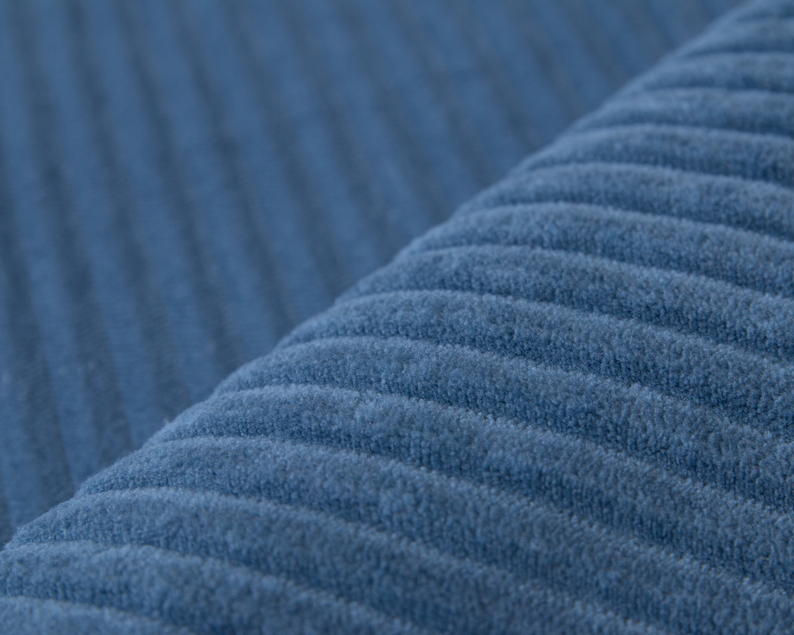 Cilium CILIUM BLUE