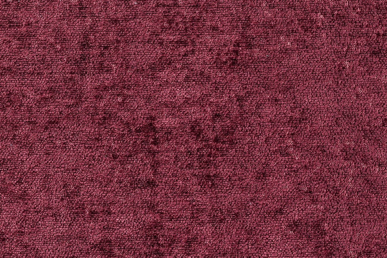 Oscar 338