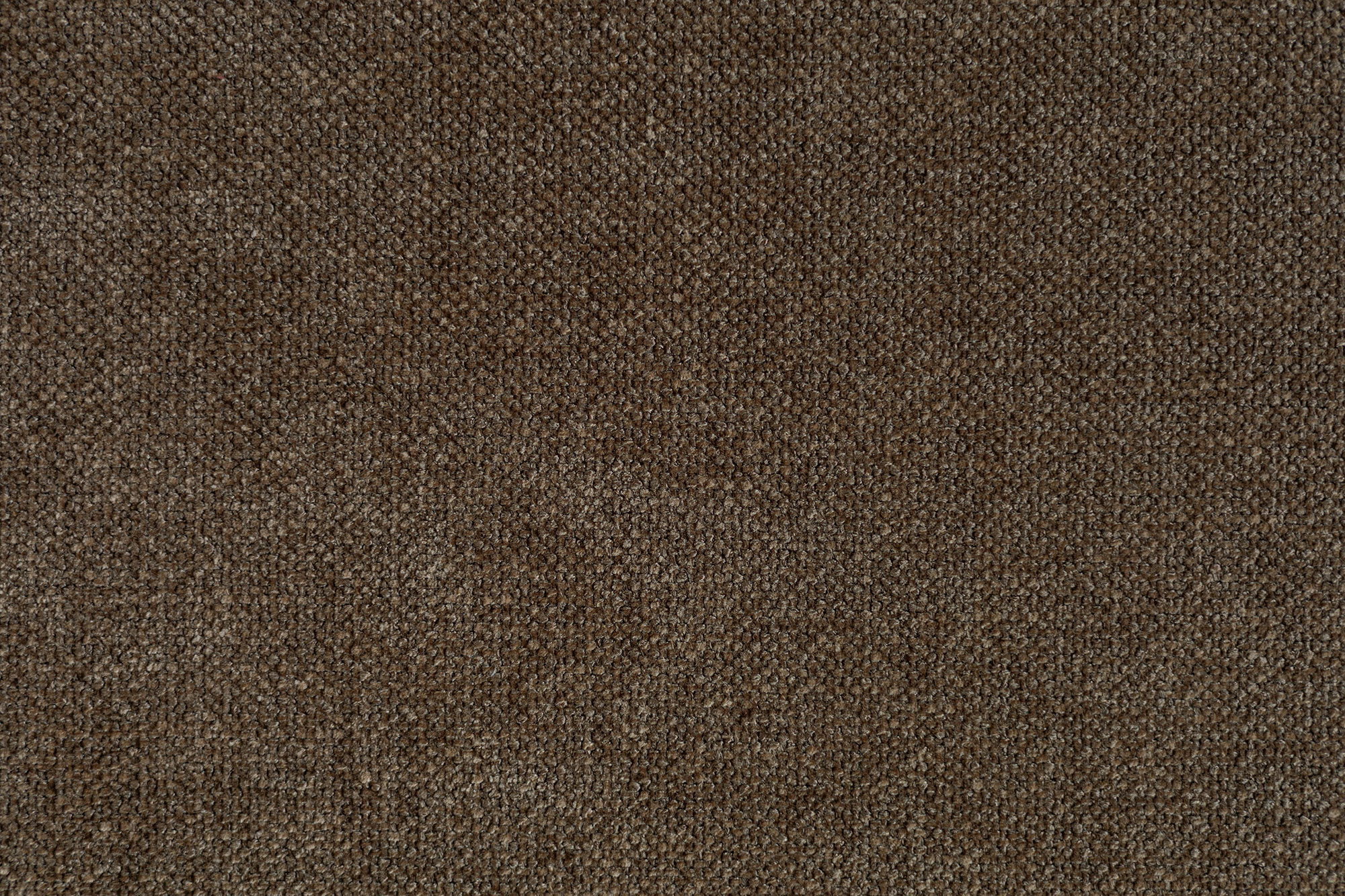 Escada 141 Brown