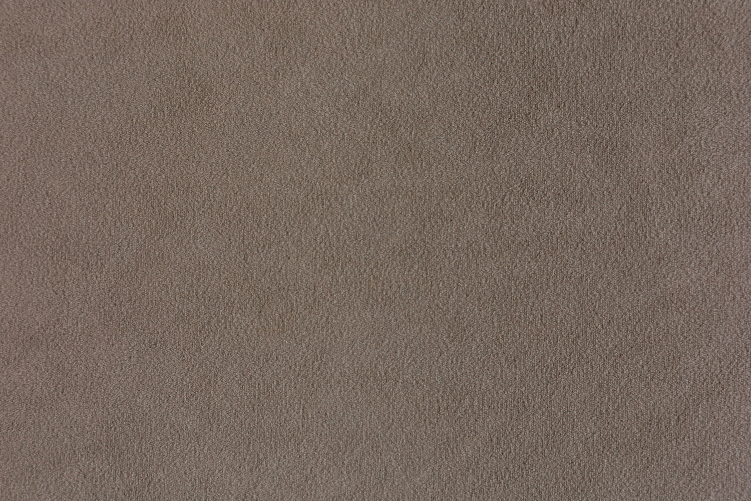 Parma 1004 Tint