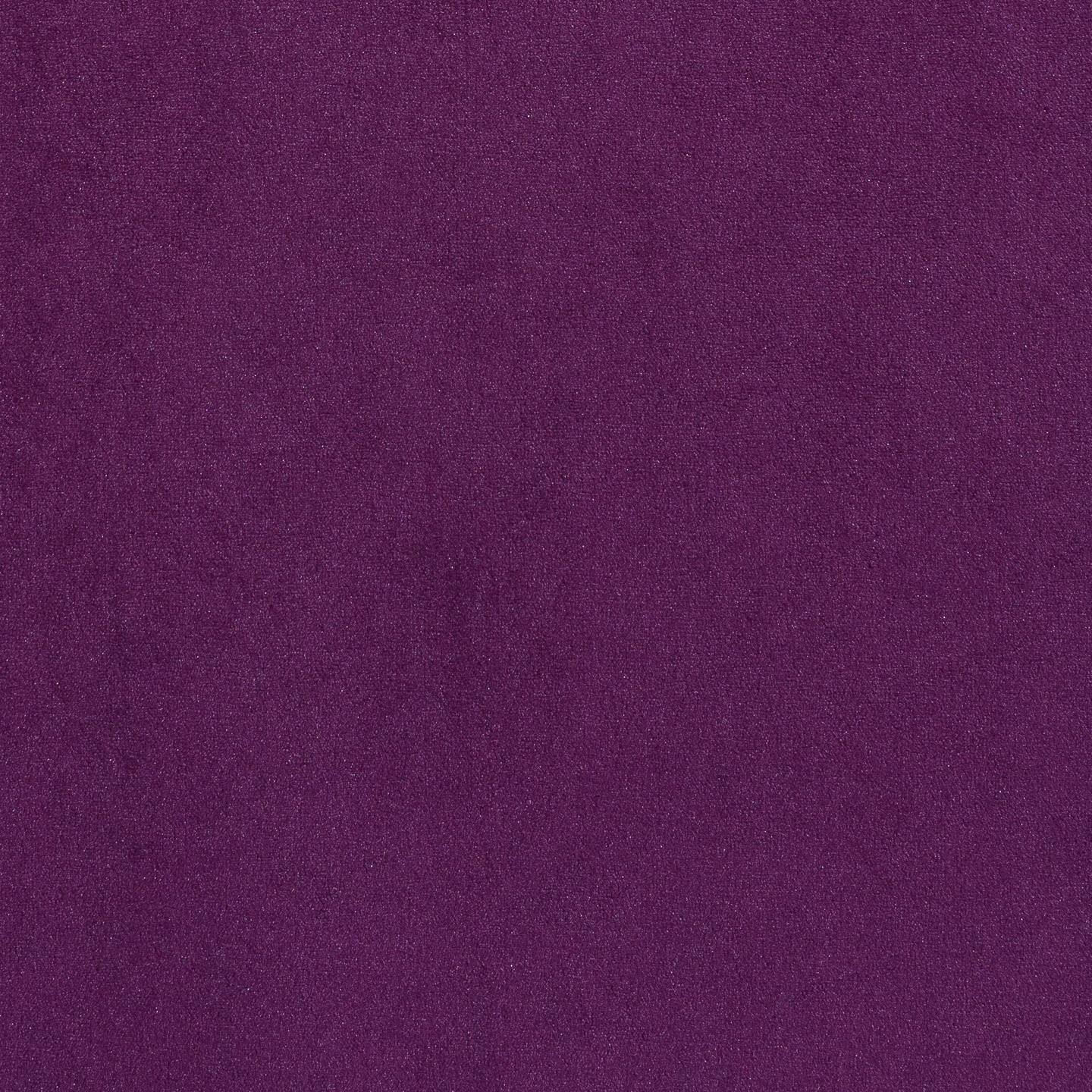 Vivaldi Vivaldi 19
