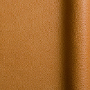 Symphony Safran