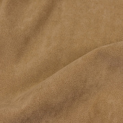 Catania camel