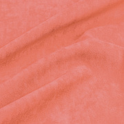 Catania coral