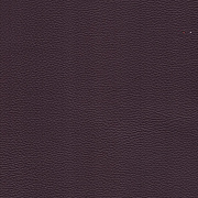 Estoril Purple