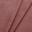 Cilium CILIUM CORAL