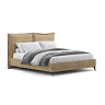 БРИОНИ