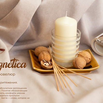 Magnetica